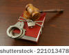 stock-photo-information-security-concept-gavel-book-with-chain-and-padlock-221013478